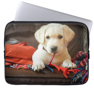 Getty Images   Puppy On A Sofa Laptop Sleeve