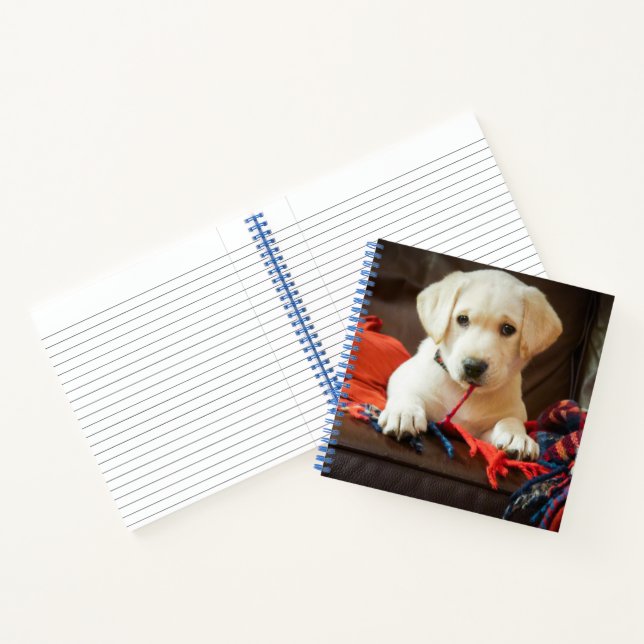 Getty Images | Puppy On A Sofa Notebook (Inside)