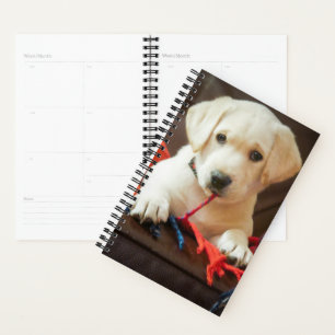 Getty Images Puppy On A Sofa Planner