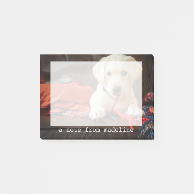Getty Images | Puppy On A Sofa Post-it Notes (Front)
