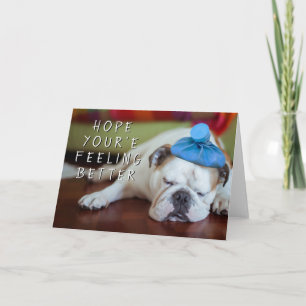 Getty Images   Sick Young Puppy Card