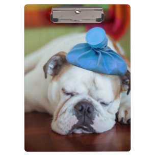 Getty Images Sick Young Puppy Clipboard