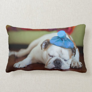 Getty Images   Sick Young Puppy Lumbar Cushion