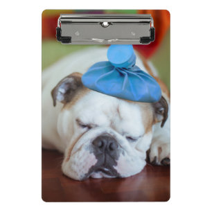 Getty Images Sick Young Puppy Mini Clipboard