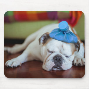 Getty Images Sick Young Puppy Mouse Pad