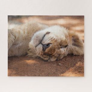 Getty Images Sleeping Lion Cub Jigsaw Puzzle