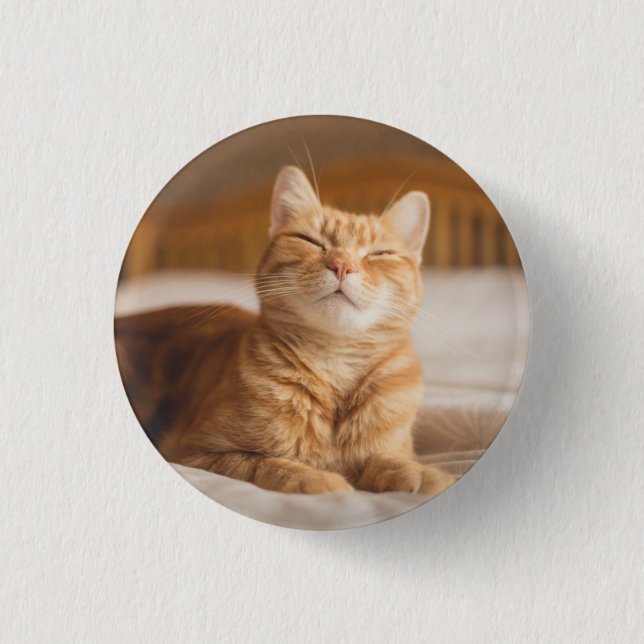 Getty Images | Sleepy Cat 3 Cm Round Badge (Front)