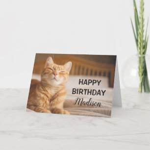 Getty Images   Sleepy Cat Card