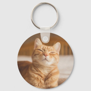 Getty Images   Sleepy Cat Key Ring