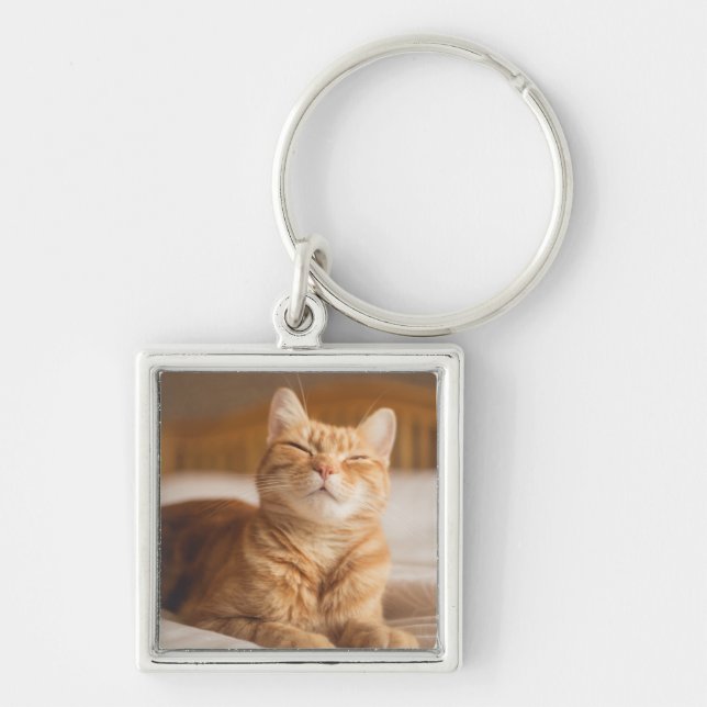 Getty Images | Sleepy Cat Key Ring (Front)