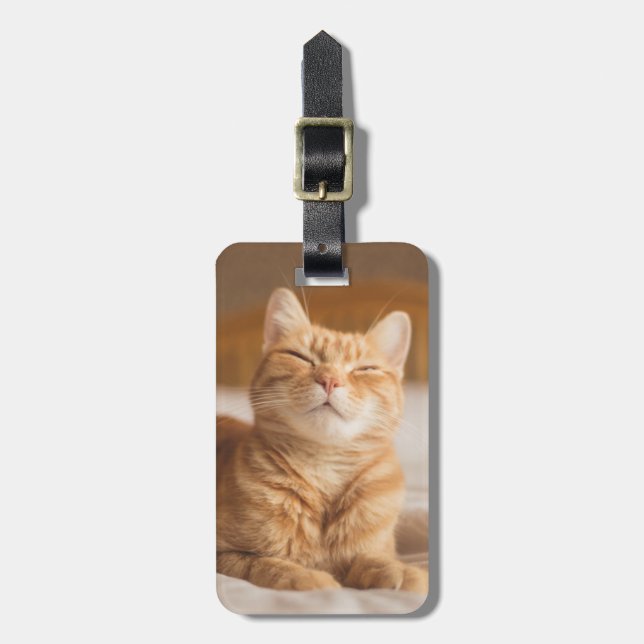 Getty Images | Sleepy Cat Luggage Tag (Front Vertical)