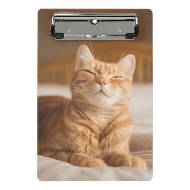 Getty Images | Sleepy Cat Mini Clipboard (Front)
