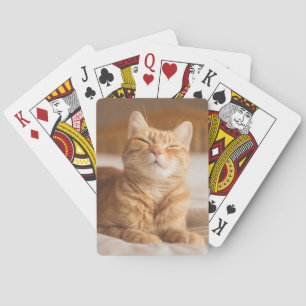 Getty Images   Sleepy Cat Playing Cards