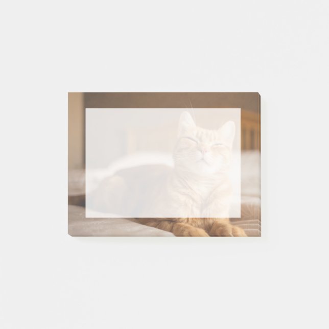 Getty Images | Sleepy Cat Post-it Notes (Front)