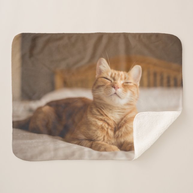 Getty Images | Sleepy Cat Sherpa Blanket (Front (Horizontal))