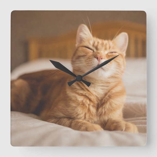 Getty Images | Sleepy Cat Square Wall Clock (Front)