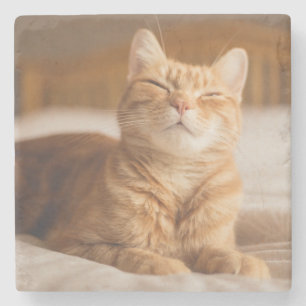 Getty Images Sleepy Cat Stone Coaster