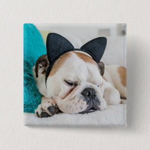 Getty Images Sleepy Dog with Cat Headband 15 Cm Square Badge