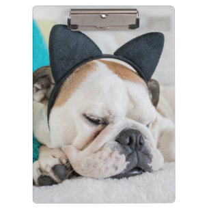 Getty Images Sleepy Dog with Cat Headband Clipboard