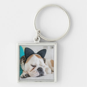 Getty Images Sleepy Dog with Cat Headband Key Ring