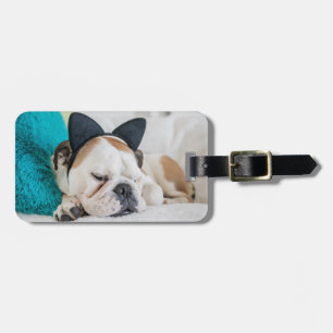 Getty Images Sleepy Dog with Cat Headband Luggage Tag