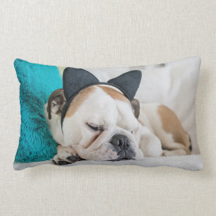 Getty Images Sleepy Dog with Cat Headband Lumbar Cushion