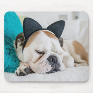 Getty Images Sleepy Dog with Cat Headband Mouse Pad