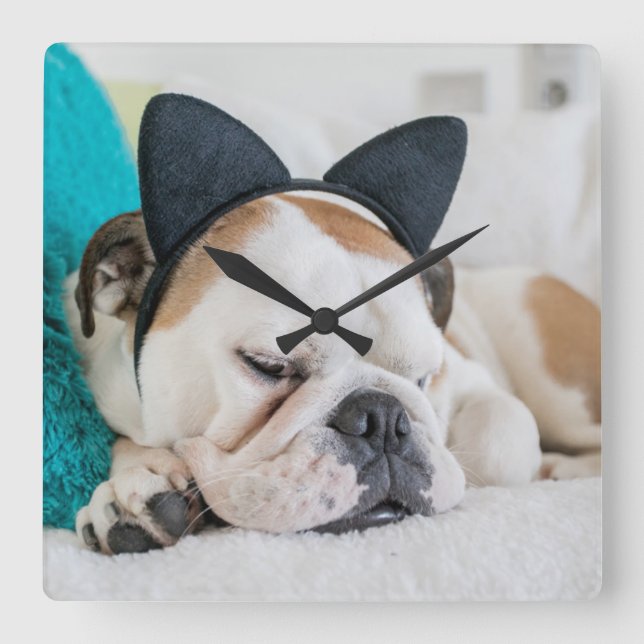 Getty Images | Sleepy Dog with Cat Headband Square Wall Clock (Front)