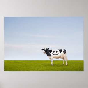 Getty Images   Smiley Face Cow Poster