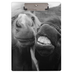 Getty Images   Smiling Horses Clipboard