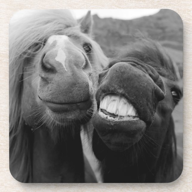 Getty Images | Smiling Horses Coaster (Front)