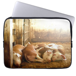 Getty Images Snuggling Pigs Laptop Sleeve