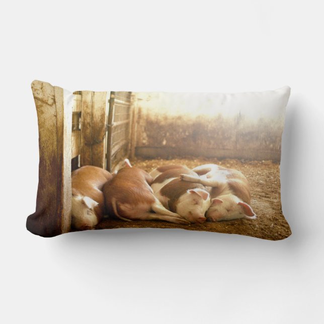 Getty Images | Snuggling Pigs Lumbar Cushion (Front)