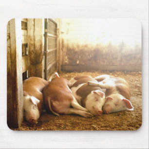 Getty Images Snuggling Pigs Mouse Pad