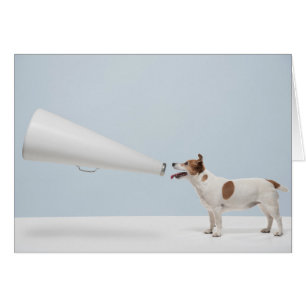Getty Images   Speaking Dog