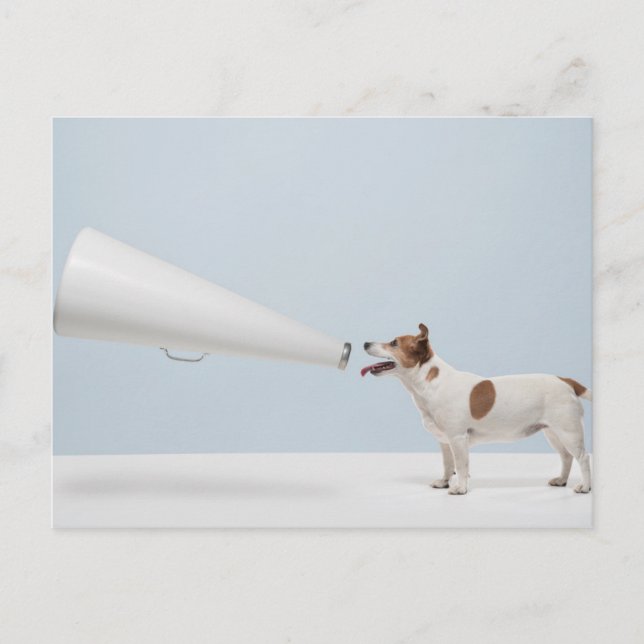 Getty Images | Speaking Dog Postcard (Front)