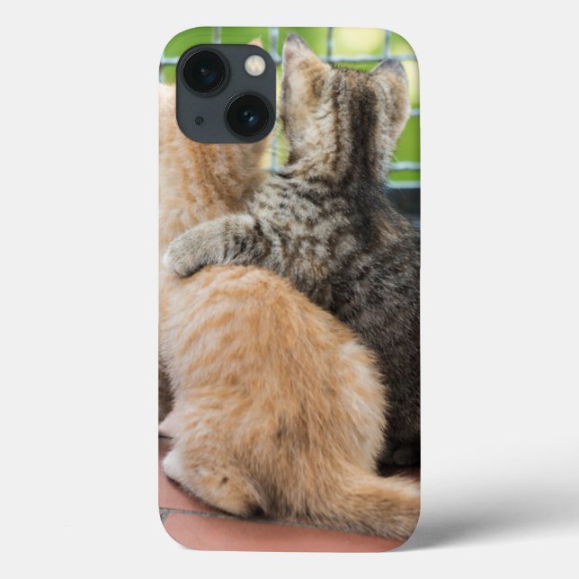 Getty Images | Two Kittens on a Balcony Case-Mate iPhone Case (Back)