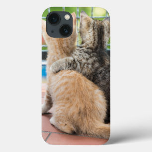Getty Images   Two Kittens on a Balcony iPhone 13 Case
