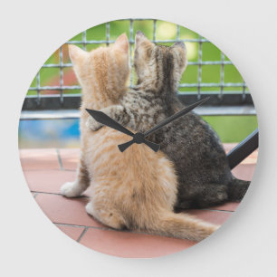 Getty Images   Two Kittens on a Balcony Large Clock