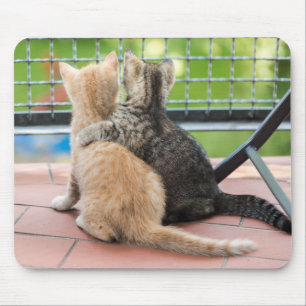 Getty Images Two Kittens on a Balcony Mouse Pad