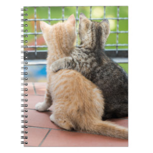 Getty Images Two Kittens on a Balcony Notebook