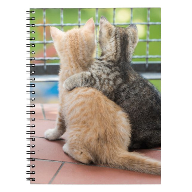 Getty Images | Two Kittens on a Balcony Notebook (Front)