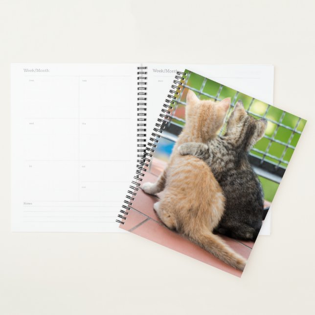 Getty Images | Two Kittens on a Balcony Planner (Display)