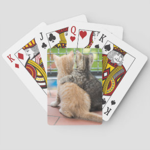 Getty Images   Two Kittens on a Balcony Playing Cards