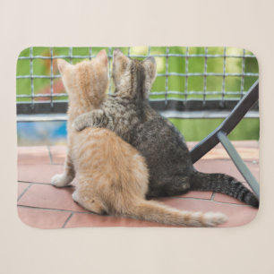 Getty Images   Two Kittens on a Balcony Sherpa Blanket
