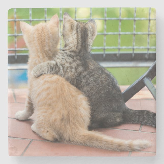 Getty Images | Two Kittens on a Balcony Stone Coaster (Front)