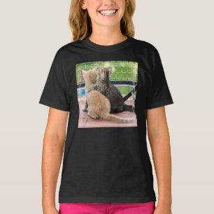 Getty Images   Two Kittens on a Balcony T-Shirt