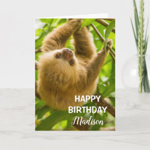 Getty Images Upside Down Sloth Card