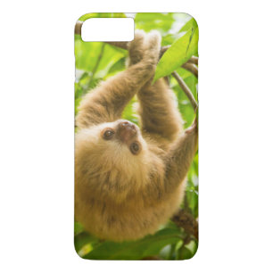 Getty Images   Upside Down Sloth iPhone 8 Plus/7 Plus Case