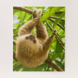 Getty Images   Upside Down Sloth Jigsaw Puzzle